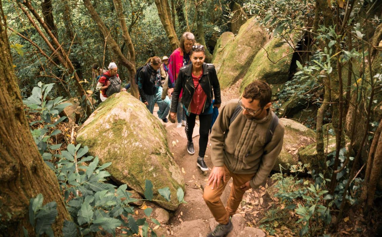 Nice Way Sintra Hostel المظهر الخارجي الصورة
